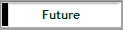 Future